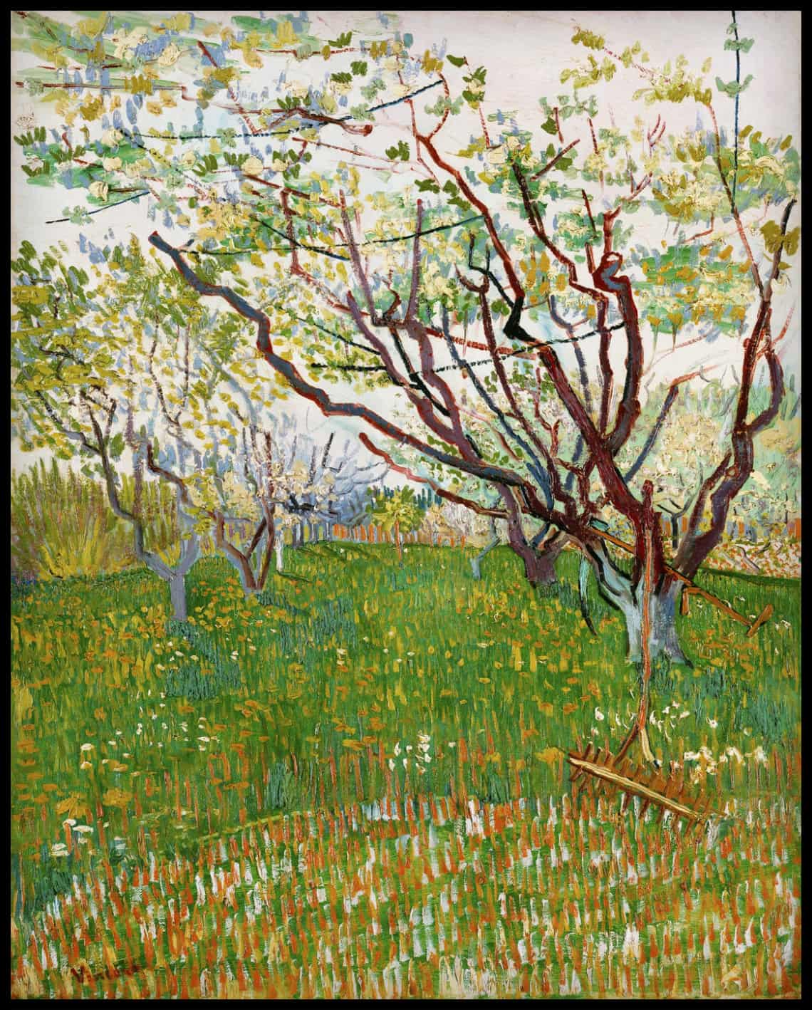 Blooming garden