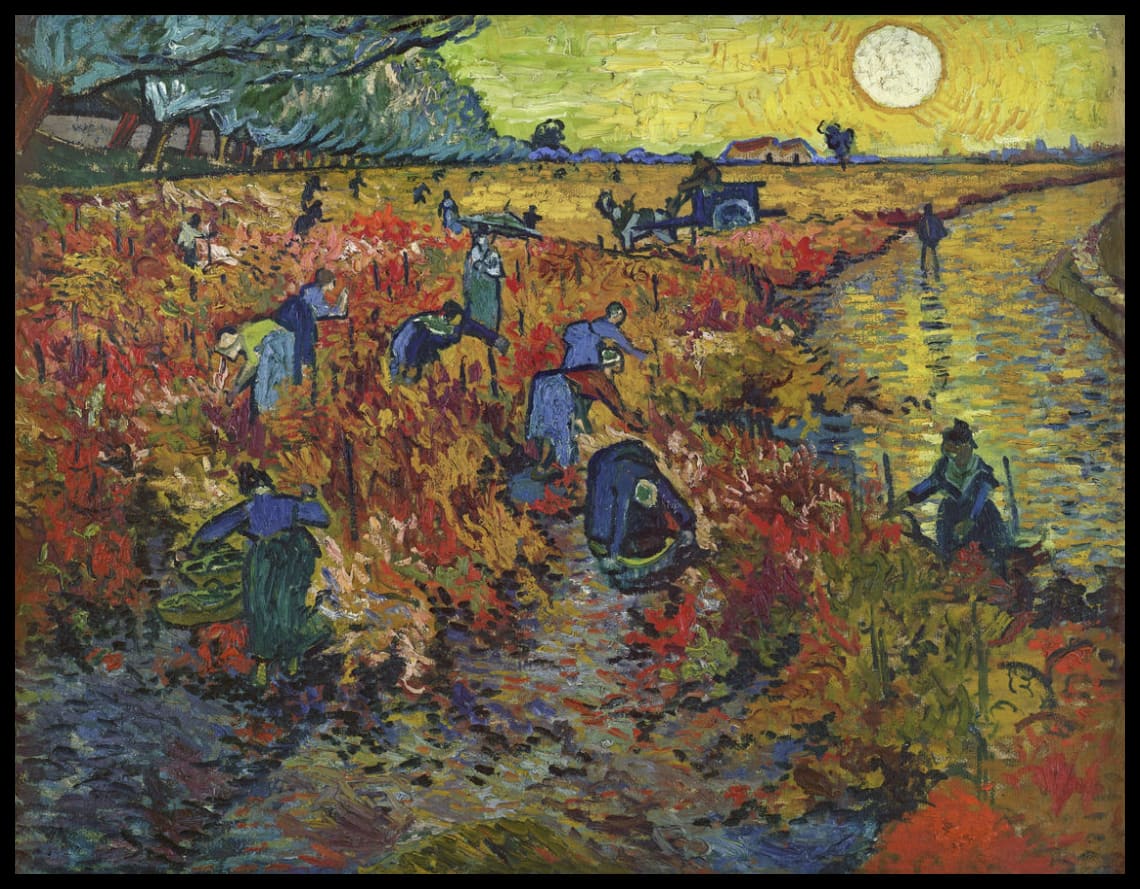 Red vineyard