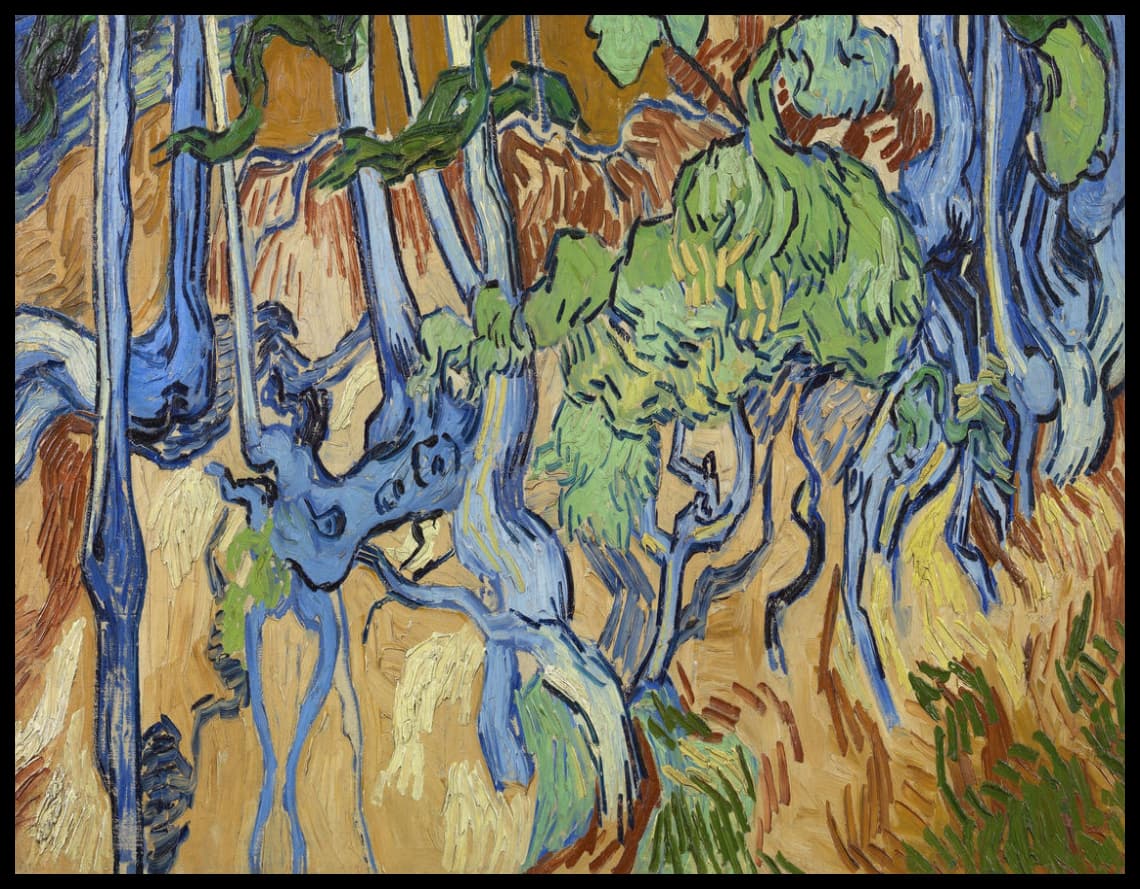 Tree roots