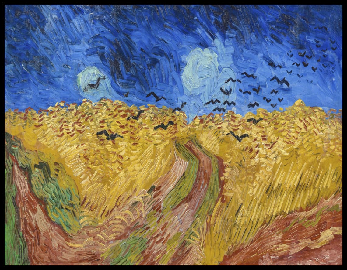 Crows over wheat field