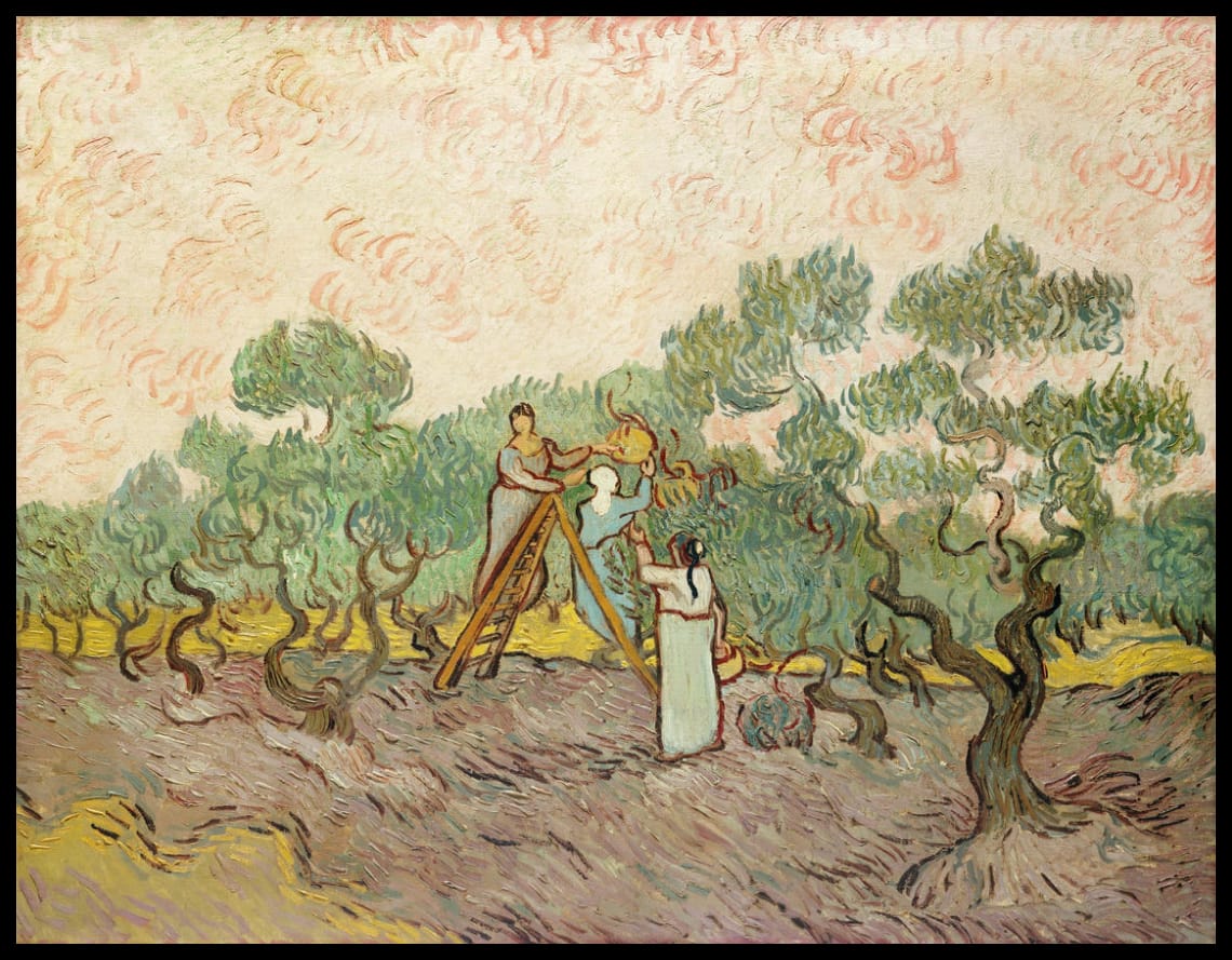 Olive picker