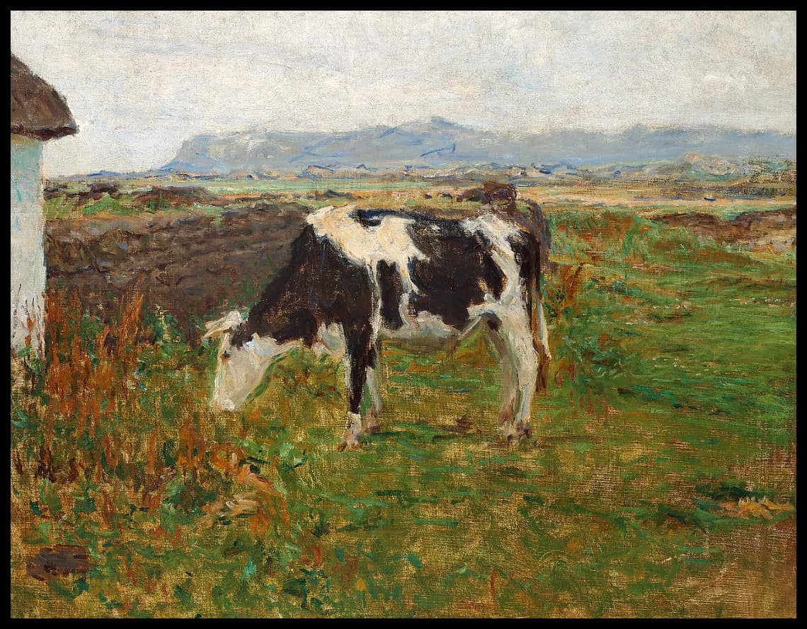 Une vache en train de brouter dans les champs à Svinkløv