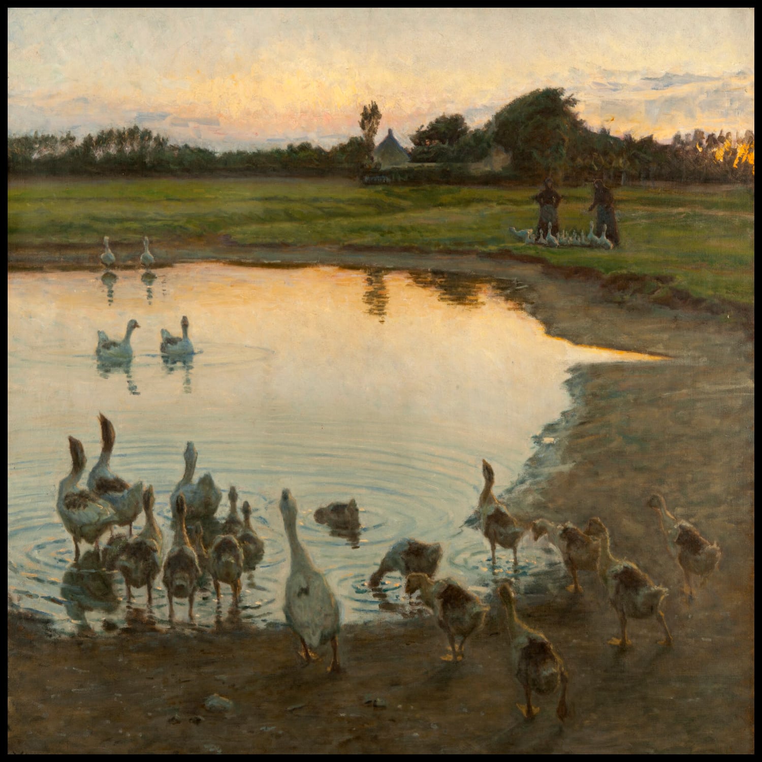 Au coucher du soleil