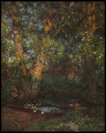 Ducks by a small forest pond