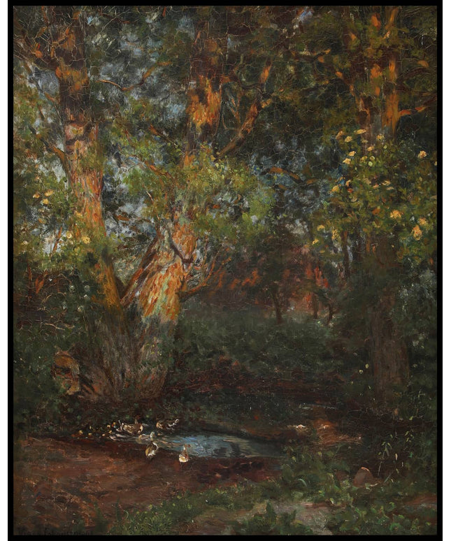 Ducks by a small forest pond