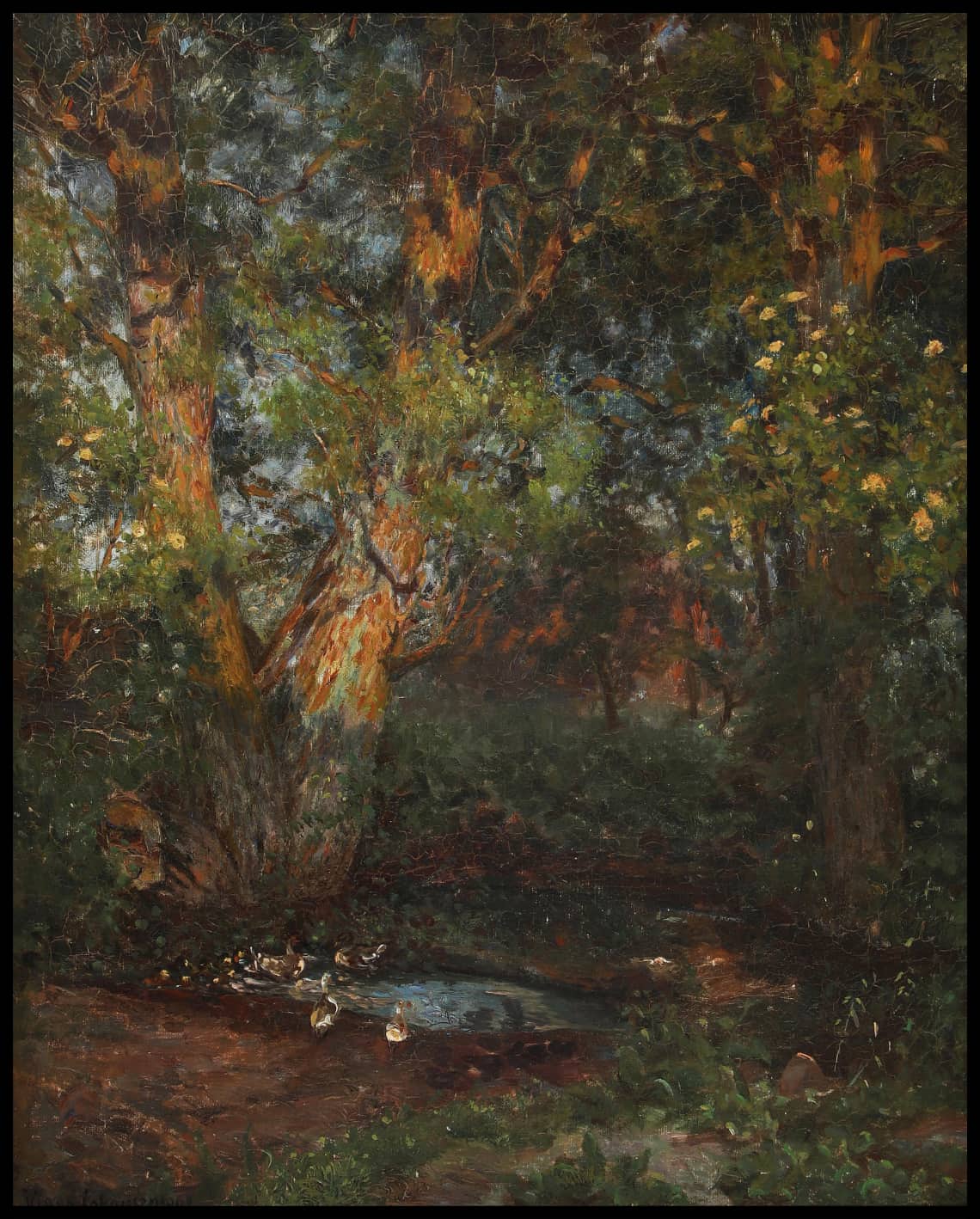 Des canards près d'un petit étang de forêt