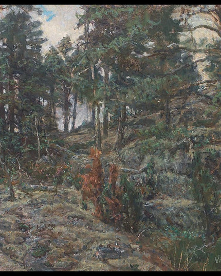 Forest scene