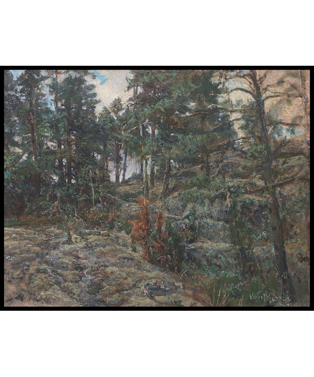 Forest scene