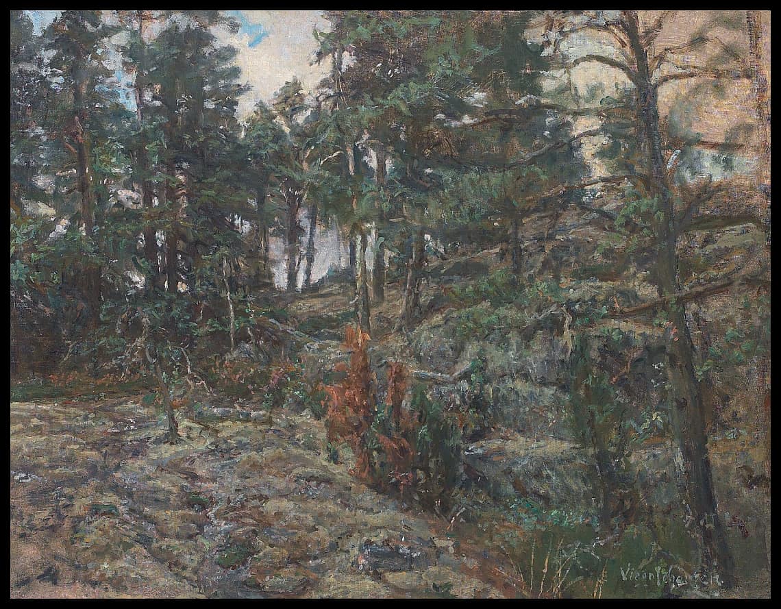 Scène de forêt