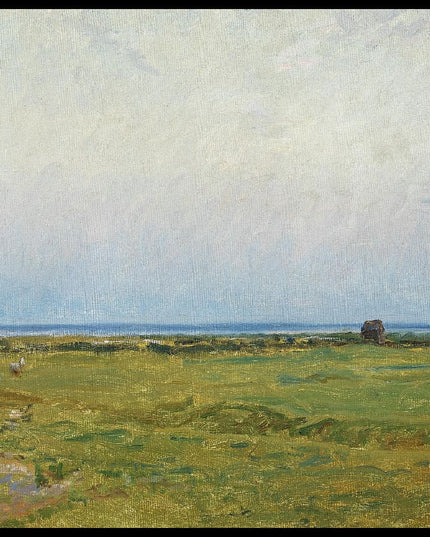 From the common south of Dragør with a ditch and grazing sheep