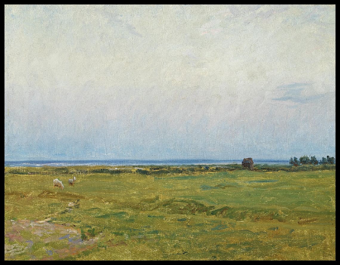 Du sud commun de Dragør avec une butte et des moutons qui broutent