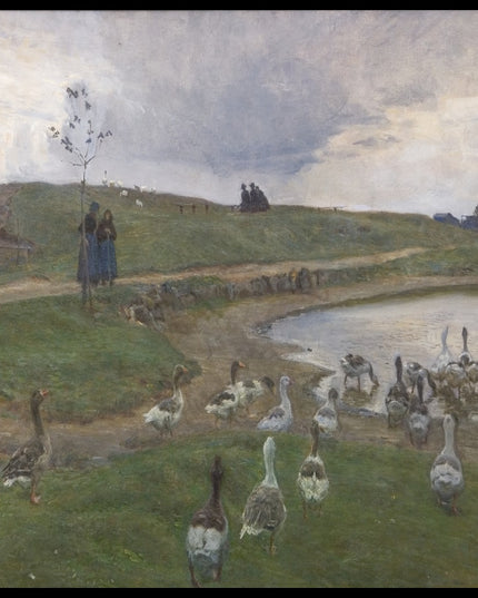 Geese by a lake. Facing unsettled weather. Dragør