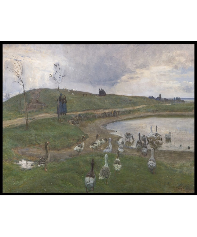 Geese by a lake. Facing unsettled weather. Dragør