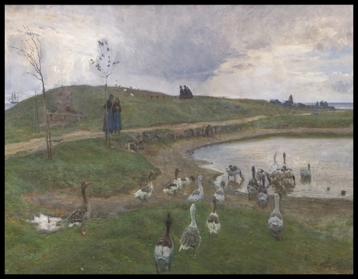 Des oies près d'un lac. Face à un temps incertain. Dragør