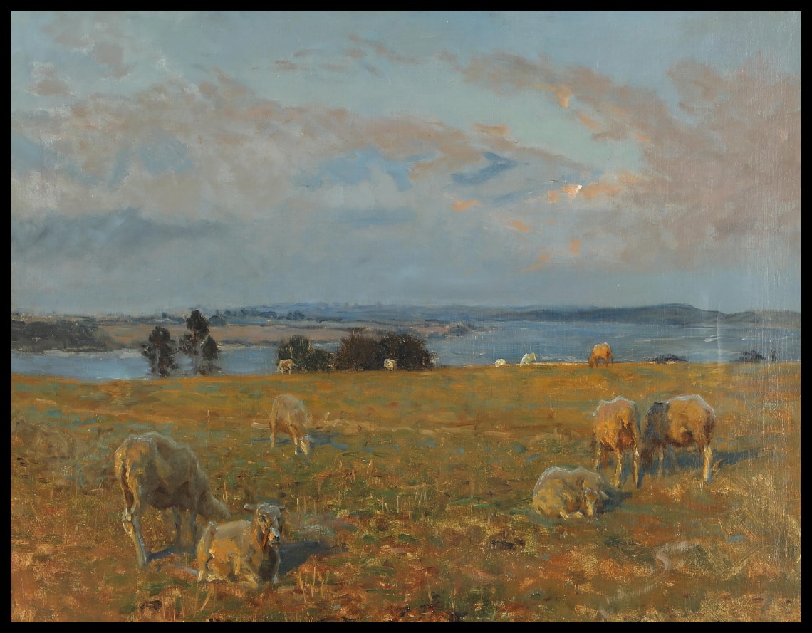 Les moutons de Hindgavl sur les collines de la Petite Ceinture. Tard dans l'après-midi d'été