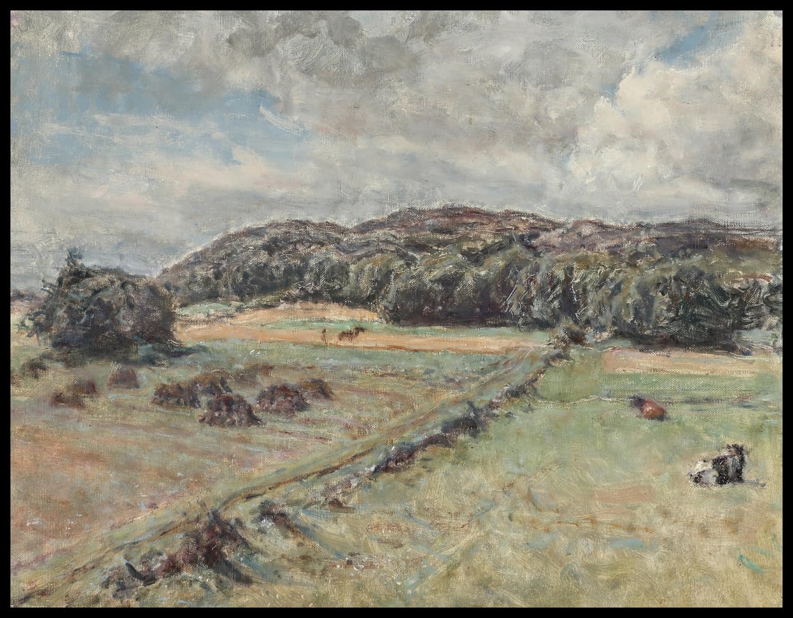 Paysage avec des vaches dans un champ