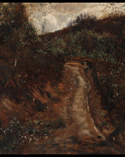 Scene from a forest path