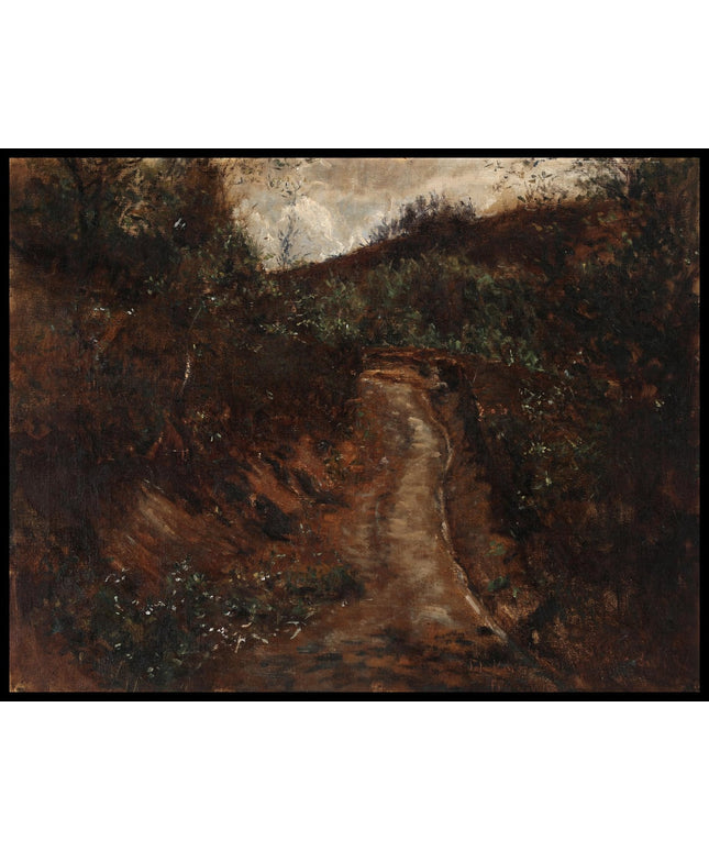 Scene from a forest path