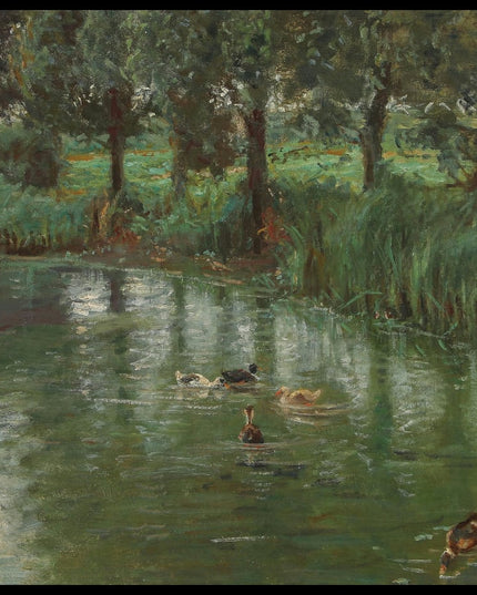 Scene with ducks by a small lake