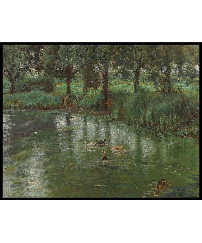 Scene with ducks by a small lake