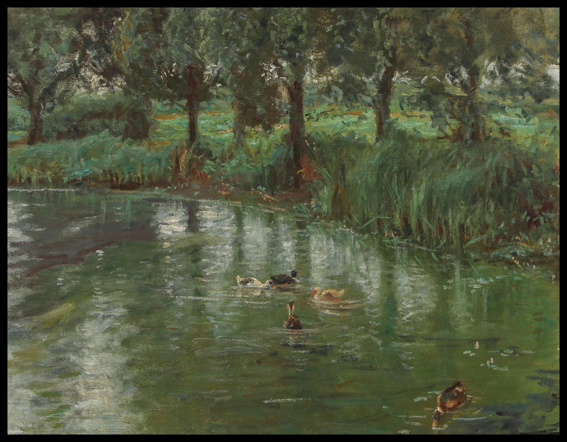 Scène avec des canards près d'un petit lac