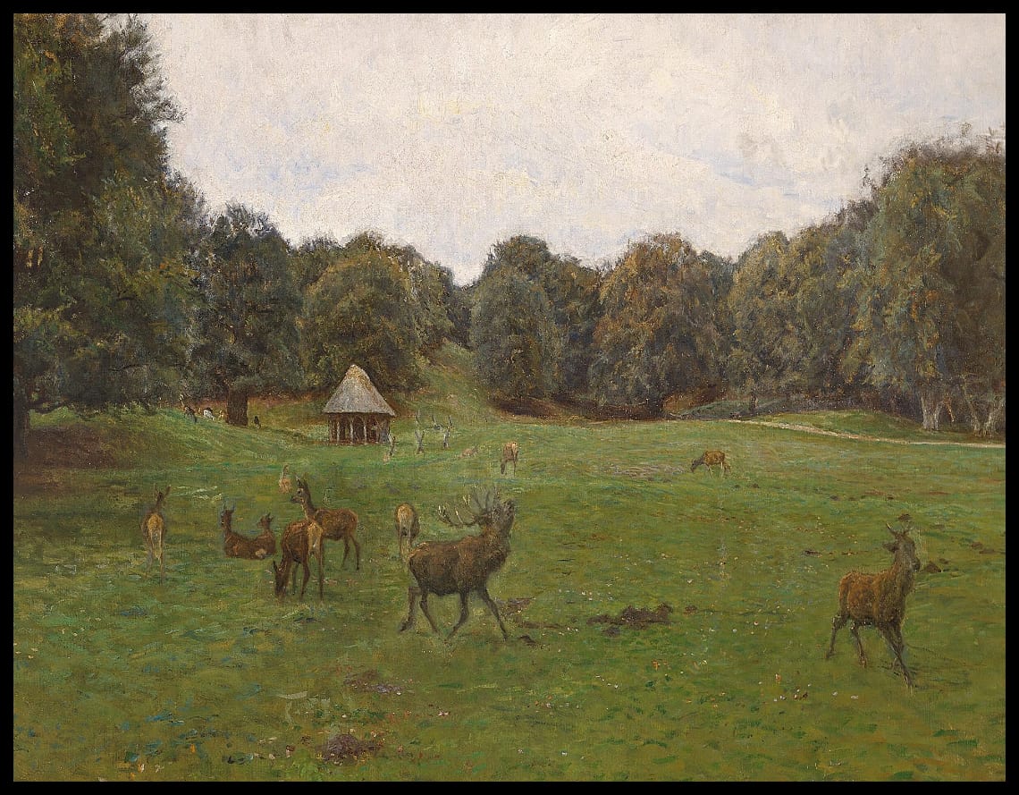 Vallée du loup