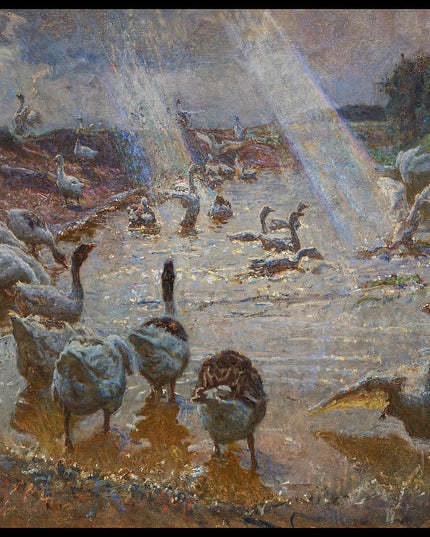 Young and old geese, Dragør