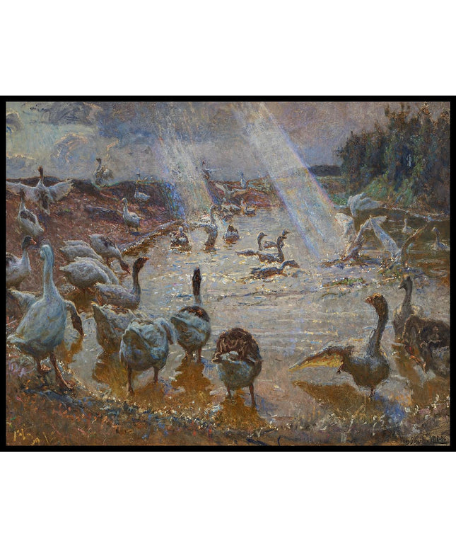 Young and old geese, Dragør