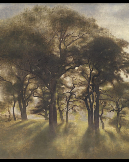 Near Fortunen, Jægersborg Deer Park, North of Copenhagen