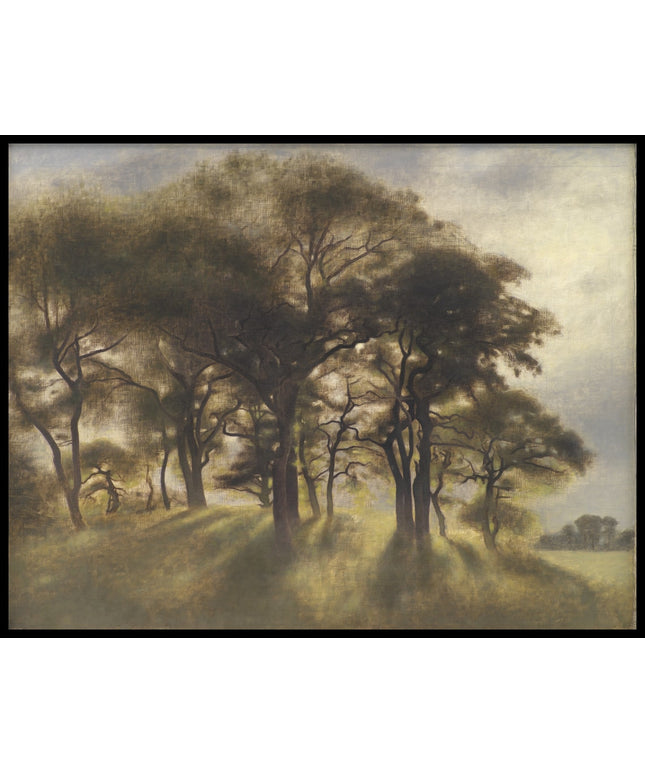 Near Fortunen, Jægersborg Deer Park, North of Copenhagen