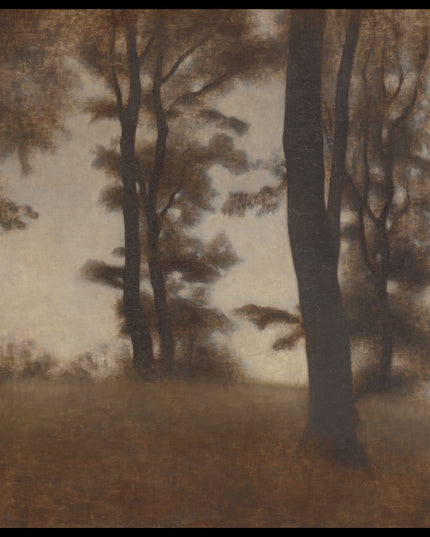 Tree Trunks. Arresødal near Frederiksværk, North Zealand