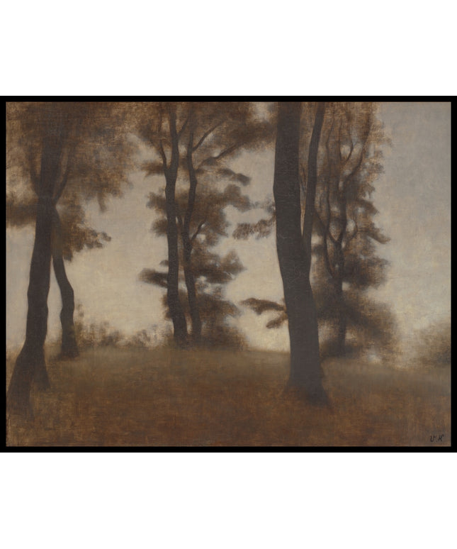 Tree Trunks. Arresødal near Frederiksværk, North Zealand