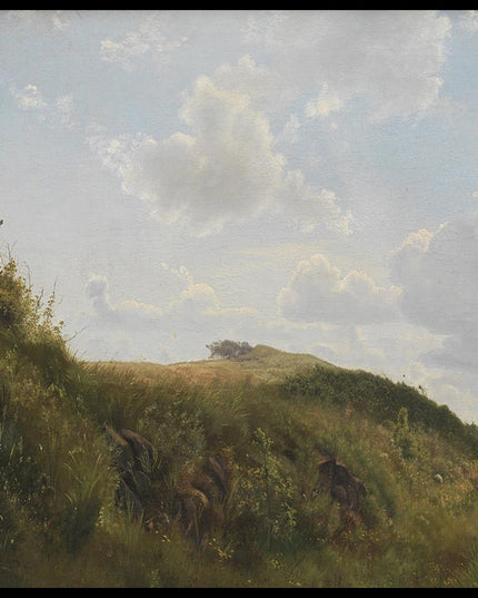 June day near Rørvig