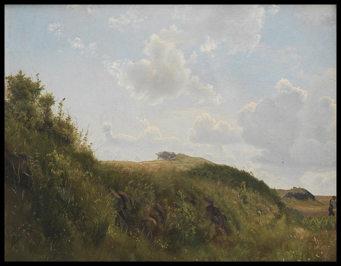June day near Rørvig