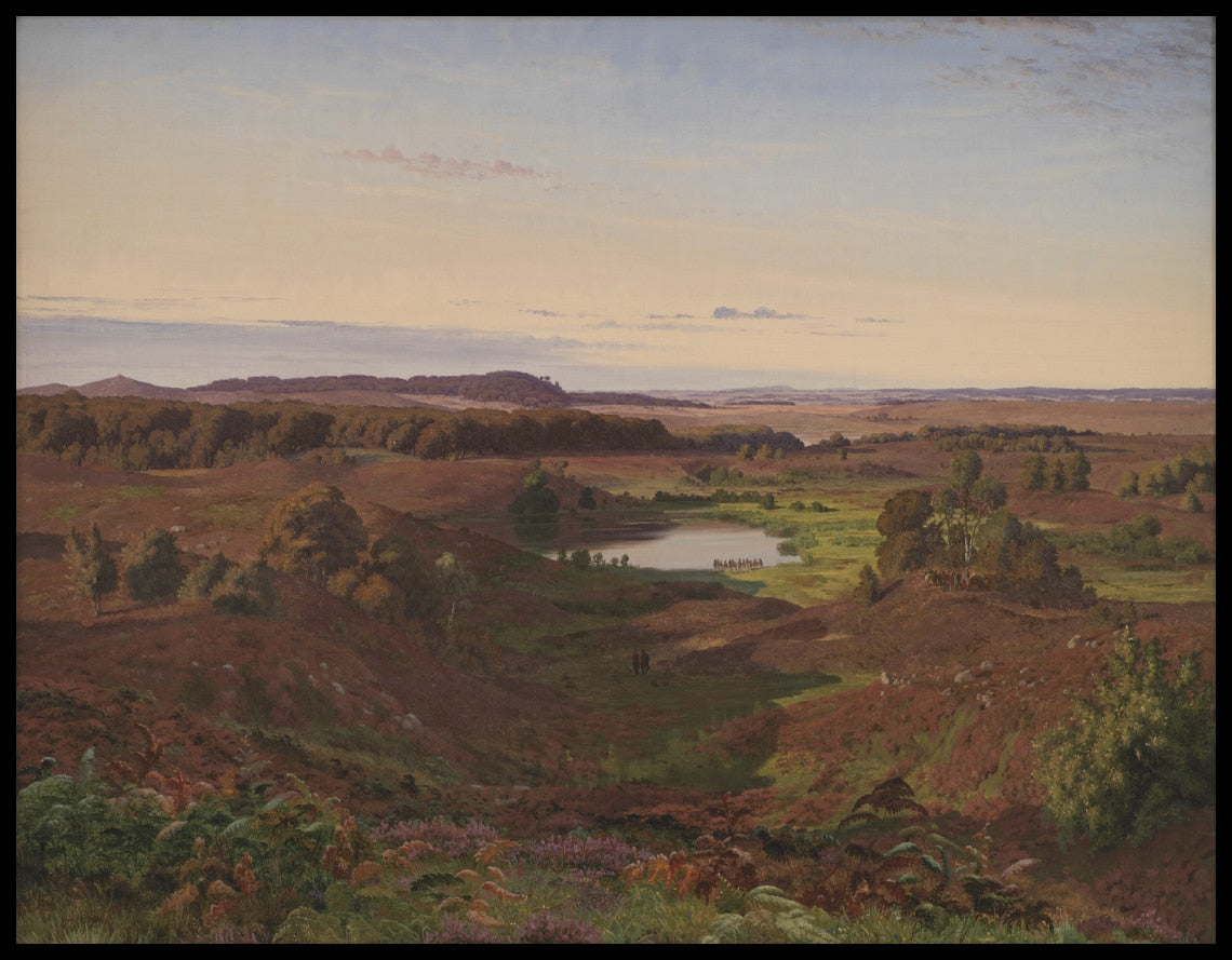 Landscape in the North of Zealand. Afternoon