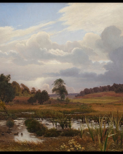 Landscape near the Forest Nordskoven, Jægerspris, Zealand