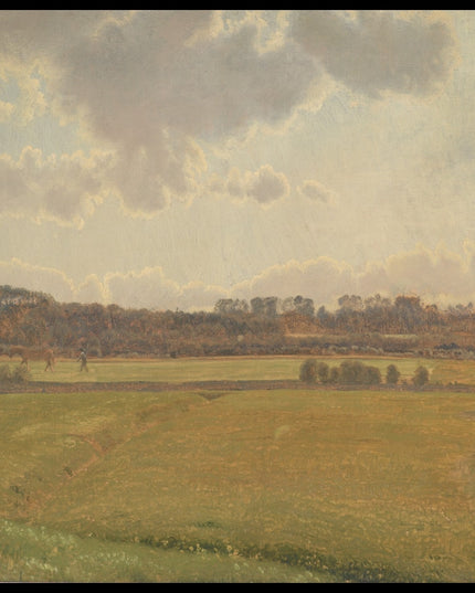 Summer day at Bisholt