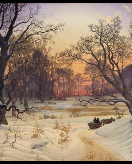 Winter Night in a Forest