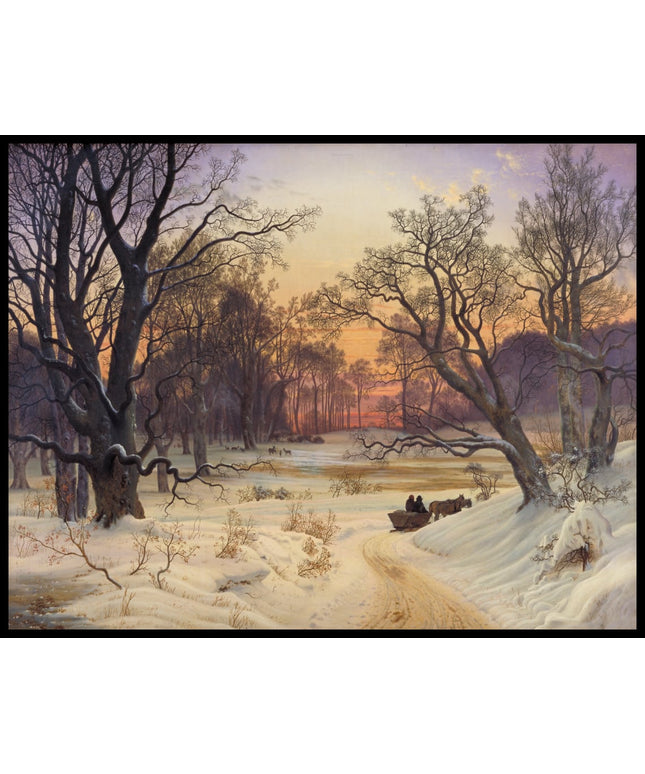 Winter Night in a Forest