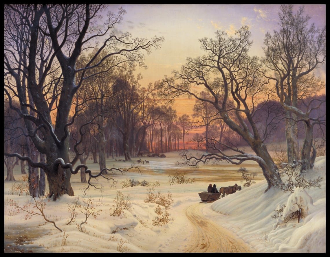 Winter Night in a Forest
