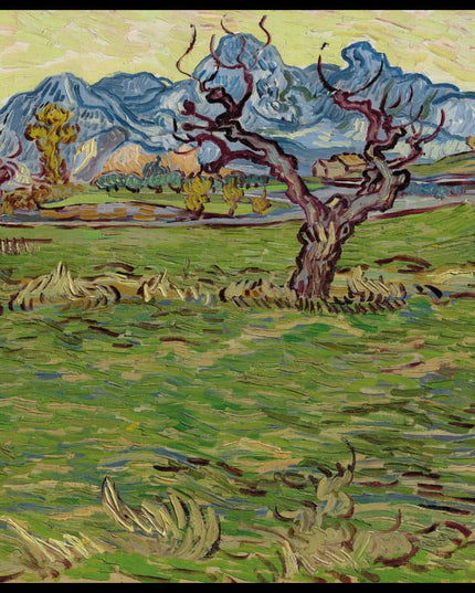 Champs près des Alpilles