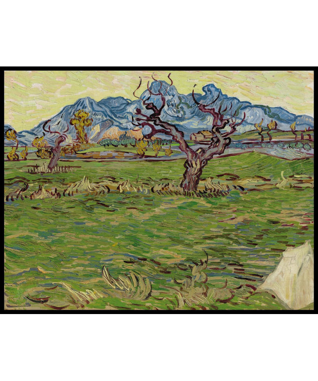 Champs près des Alpilles