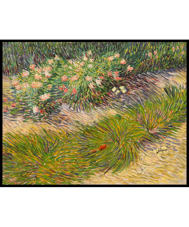 Coin de jardin avec papillons