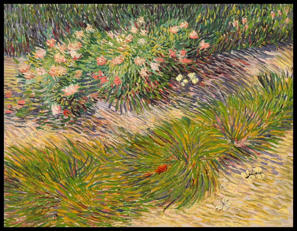 Coin de jardin avec papillons