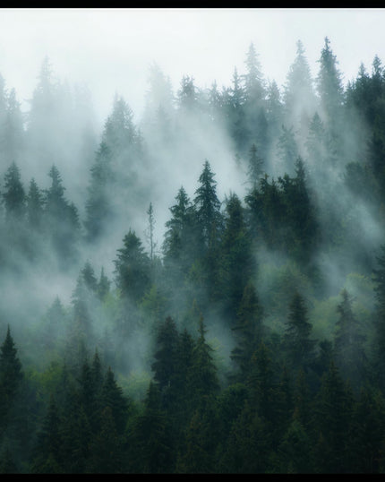 Ein Poster von einer nebligen Front eines Waldes, der sich über mehrere Ebenen erstreckt.