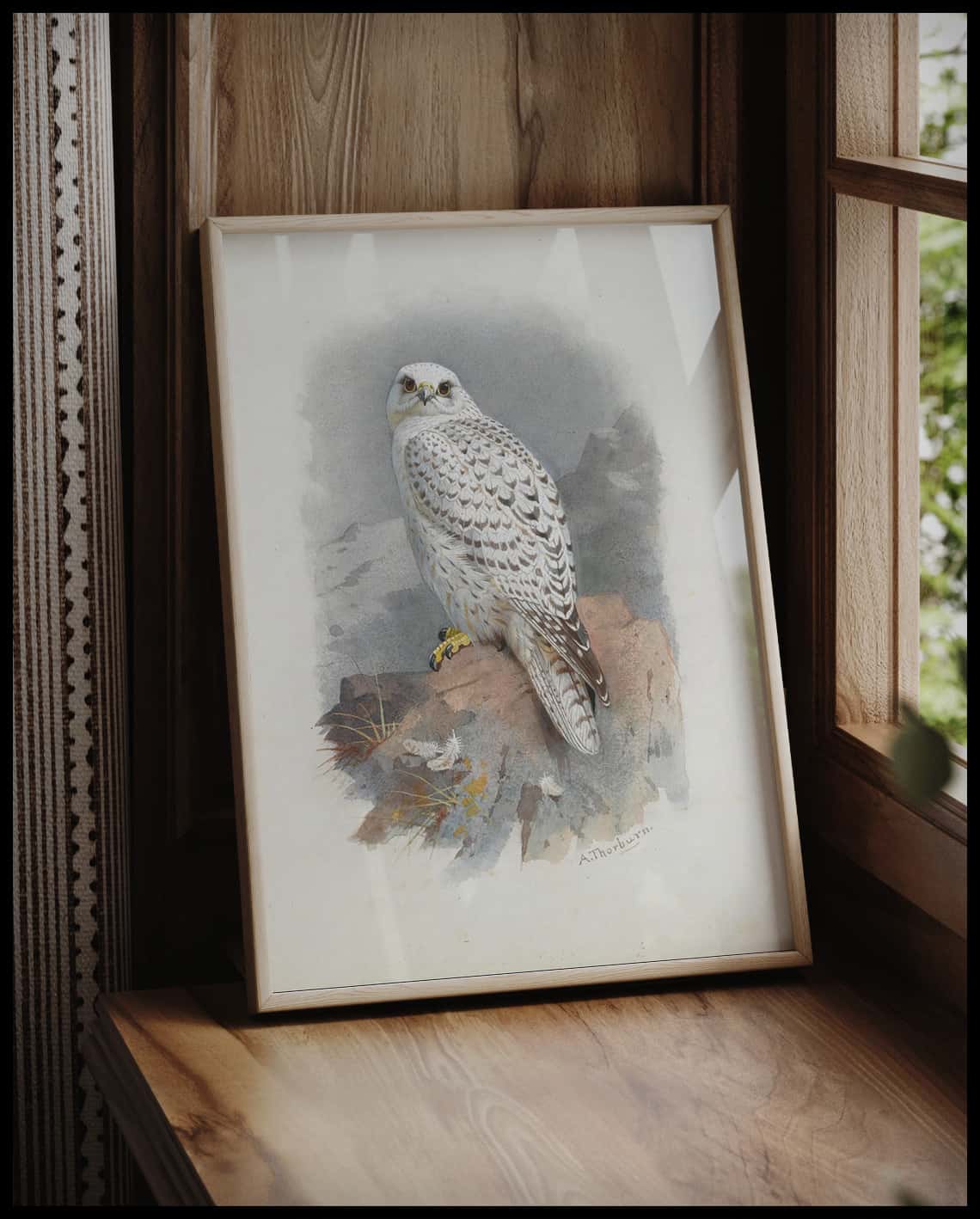 Falcon poster