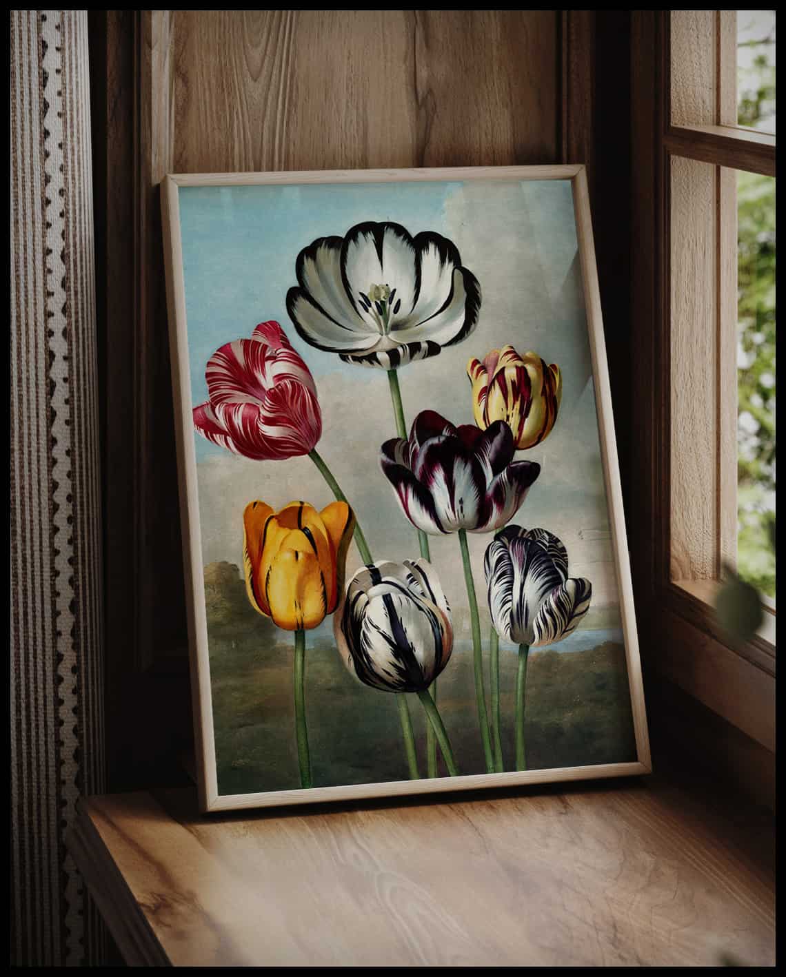 Group Of Tulips