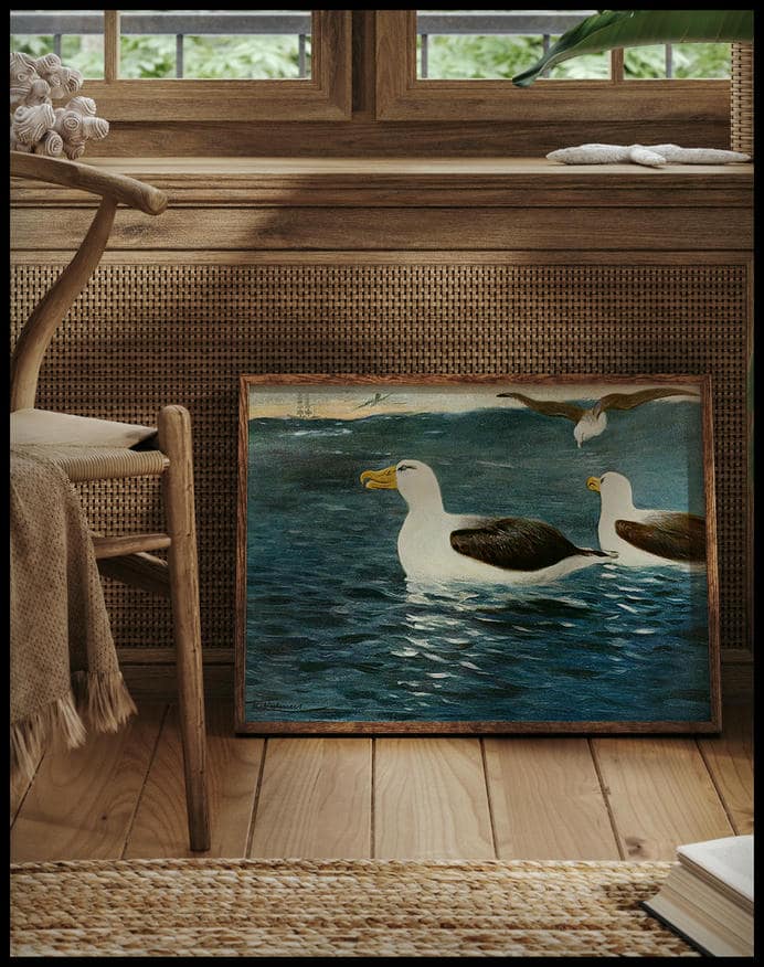 Albatross