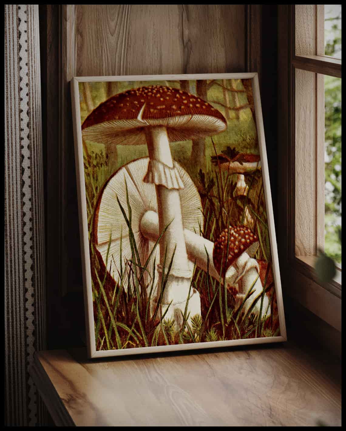 Amanita Pantherina