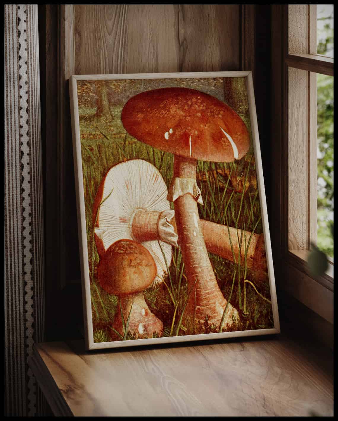Amanita Rubescens